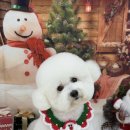 광산구-146 이미지