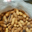 엔트프라이즈 이미지