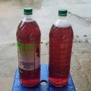 자연같이 팜 이미지