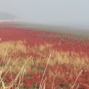 새길시장 이미지