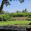 강매농장 이미지