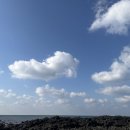 양화목장 | [공지] 퇴사 기념 제주도 혼자 여행 1일차 (11.5~11.7)