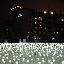 로즈가든 이미지