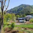 천천면광산마을 이미지