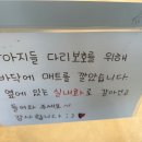 도그뷰티 이미지