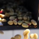 아하 과학상식B 1 이미지