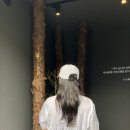 심리 힐링 압화 | 주말 나들이 : 보라매공원 서울국제정원박람회 토요일 방문후기