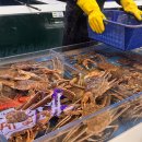 킹크랩대게한상 | (니돈니산) 주말 가족 외식 추천! 부산 기장 오션뷰 맛집 '대게만찬' 킹크랩 후기