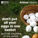It’s Easter! Here is an egg-cellent English idiom about eggs to celebrate. 이미지