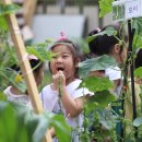 엄사유치원 이미지