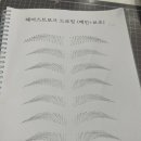 비비드포인