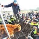 농민축산 이미지