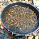 오십천둔치 이미지