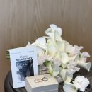 화동 | 아크레도 웨딩밴드 본식 당일 예물후기(예물교환 화동후기)