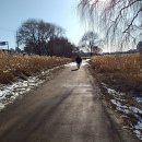 하천(유등천4) 이미지