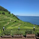 트인바다라메종 이미지