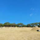 영신군 이이묘 이미지