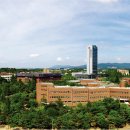 영남대로 이미지