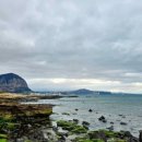 대정 골드빌라스 풀빌라 대가족숙소 이미지