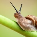 푸름농장 이미지