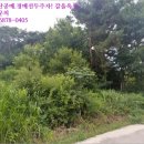 주생면 정충마을 이미지