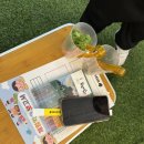 금교농장 이미지