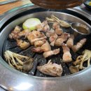 돼지랑오리랑