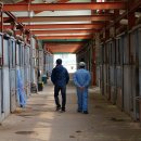 궁평목장 이미지