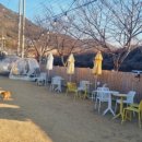히푸(HIPPU)