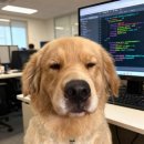 행운상사 이미지