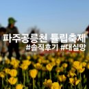 파주세무서 | 파주 공릉천 튤립축제_솔직후기_ 4.19일 기준