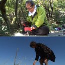 코리아헌터 이미지