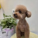 이웃집 메리 이미지