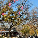 동승전자 | 아이도 신나게 탄 한국민속촌 놀이기구 4종 후기 + 예상 못한 최애 등장