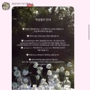 대전 아이폰스냅 세러데이 아이폰 스냅 계약 후기