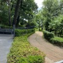 영축산순환산책로(유아숲) 이미지