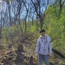 금성(아) 이미지