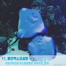 친환경엑스포로1 이미지