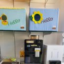 퍼스트독, 캣 이미지