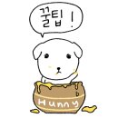 미네르바에스테틱&뷰티크레딧