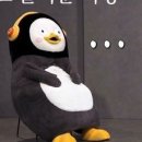 우리온누리약국 티스토리