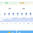 내일 서울 강수량 실화..? 이미지
