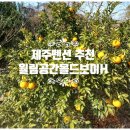 월림공간올드보이H