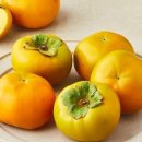 북창원농협 이미지