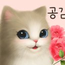 리틀버디 이미지