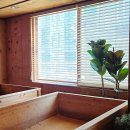 편백효소찜질 본점 | 의정부 효소 찜질 힐링과학연구센터 편백효소찜질 본점