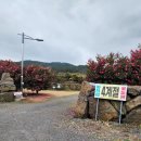 하천리-4 이미지