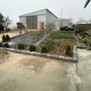 녹수조경