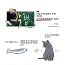 &#34;금산분리법&#34; 완화가 오늘의 메인이었다면서요? 이미지