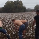 완식농장 이미지